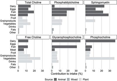 Food Sources Contributing to Intake of Choline and Individual Choline Forms in a Norwegian Cohort of Patients With Stable Angina Pectoris